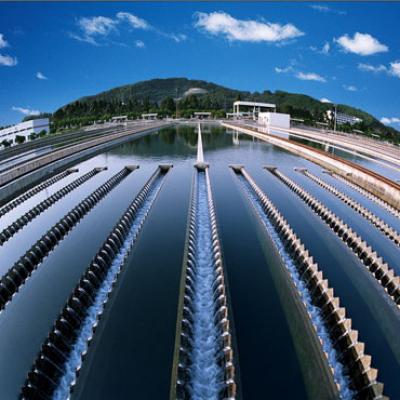 Water plant management system